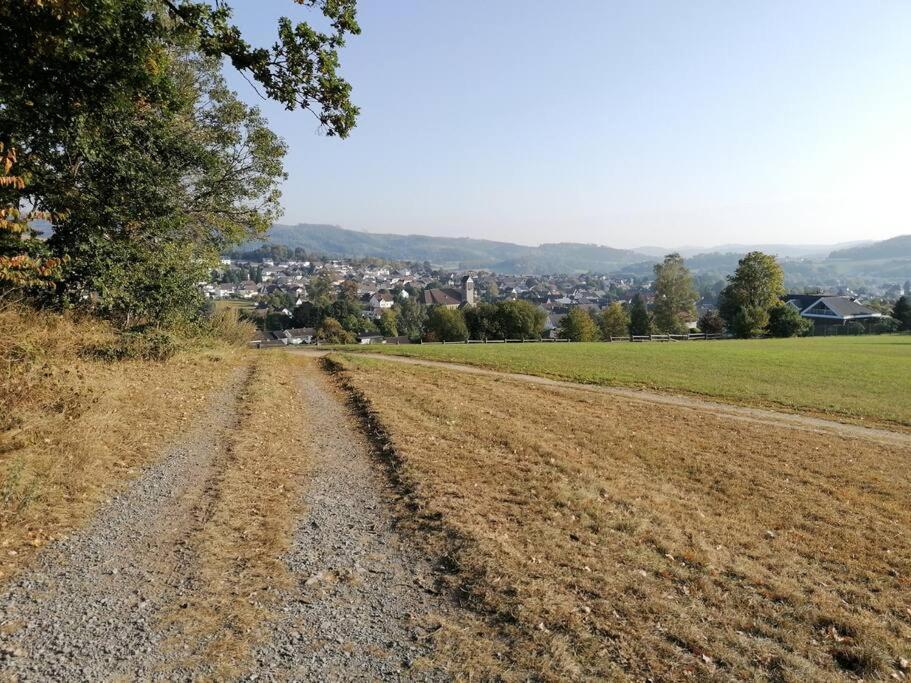 Sauerlandluft Apartment Balve Luaran gambar